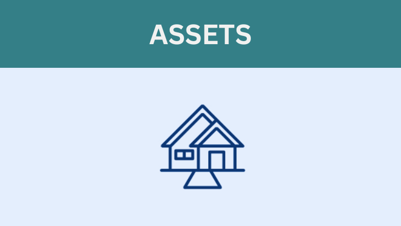 ASSETS