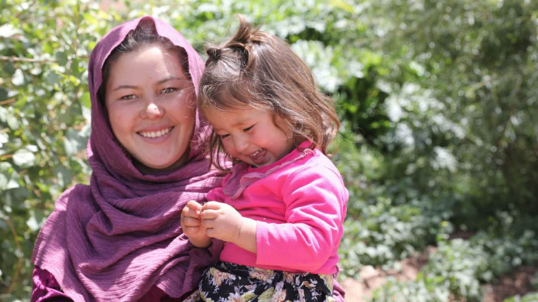 Commonwealth-Handbook Commonwealth-Handbook